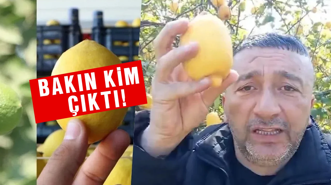 Limonu 50 Kuruştan Satamıyorum Diyen Kişi Yalancı Çıktı, Soruşturma Açıldı