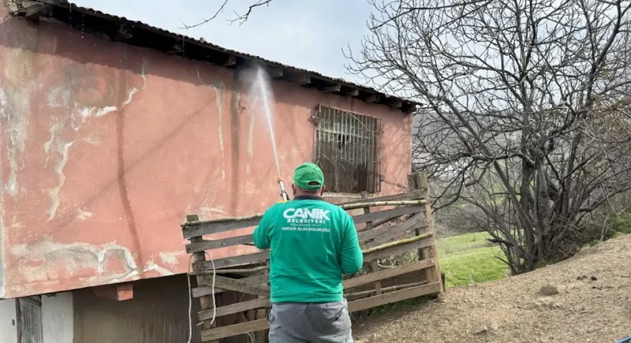 Canik'te Evler Kokarca Böceği İçin İlaçlanıyor