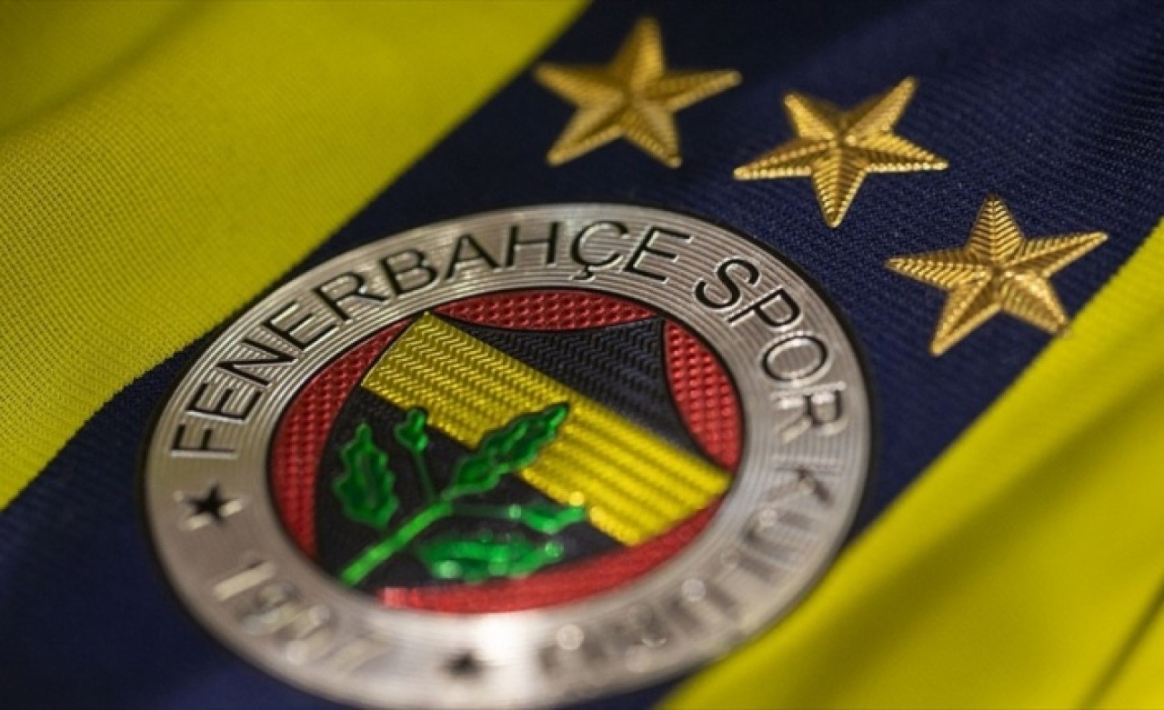 Fenerbahçe Luiz Gustavo'yu transfer etti