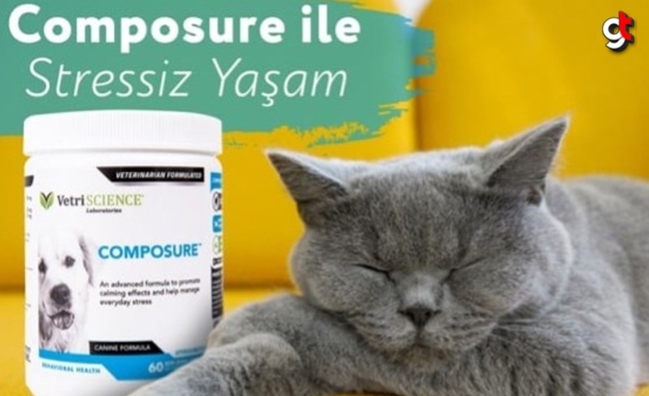 Composure Nedir?