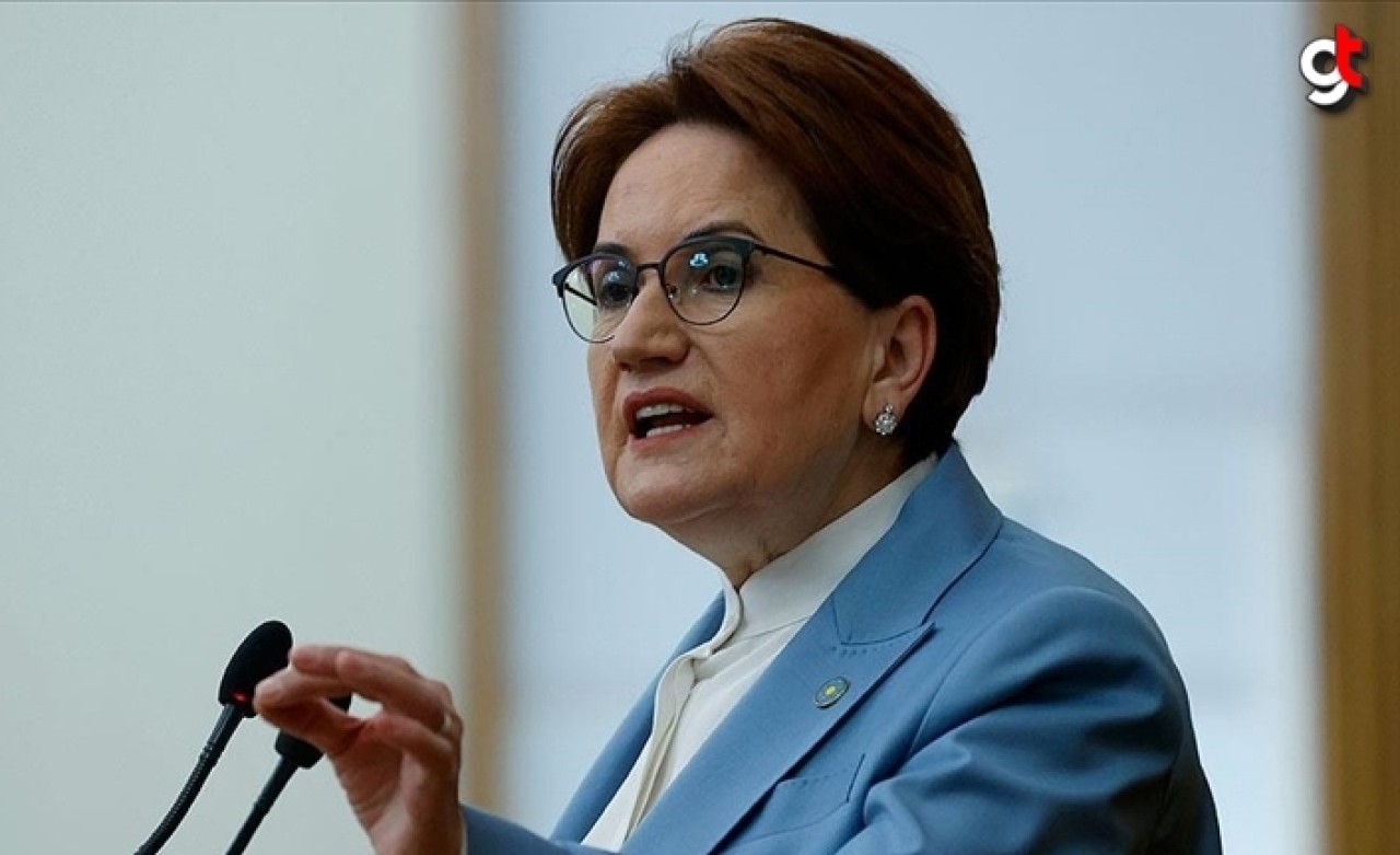 Meral Akşener&#039;i ısıran köpek öldü