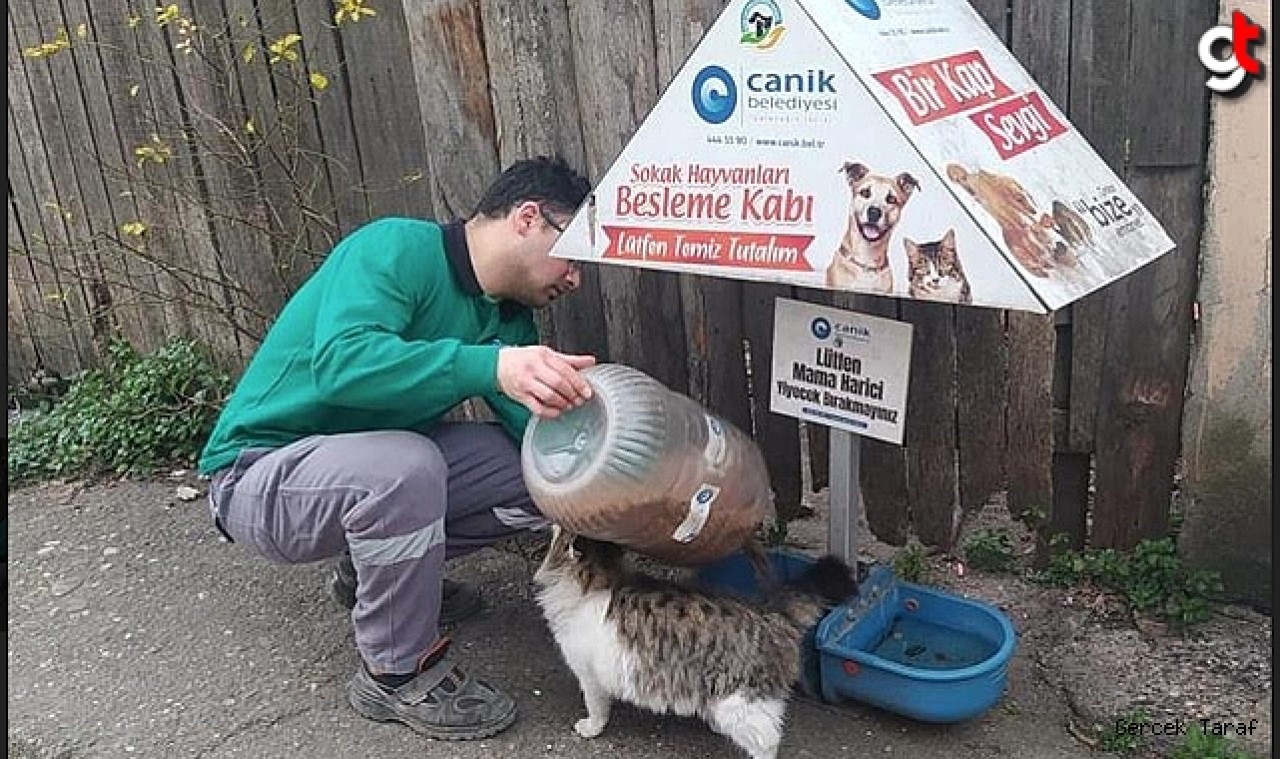 Canik Belediyesi Can Dostları İçin Sahada