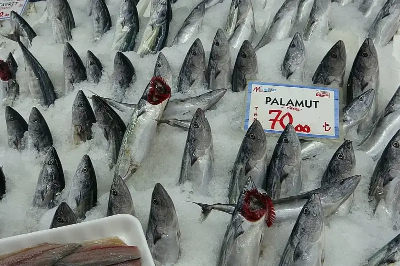 Samsun'da Balık Tezgahları Şenlendi, Samsun Balık Fiyatları