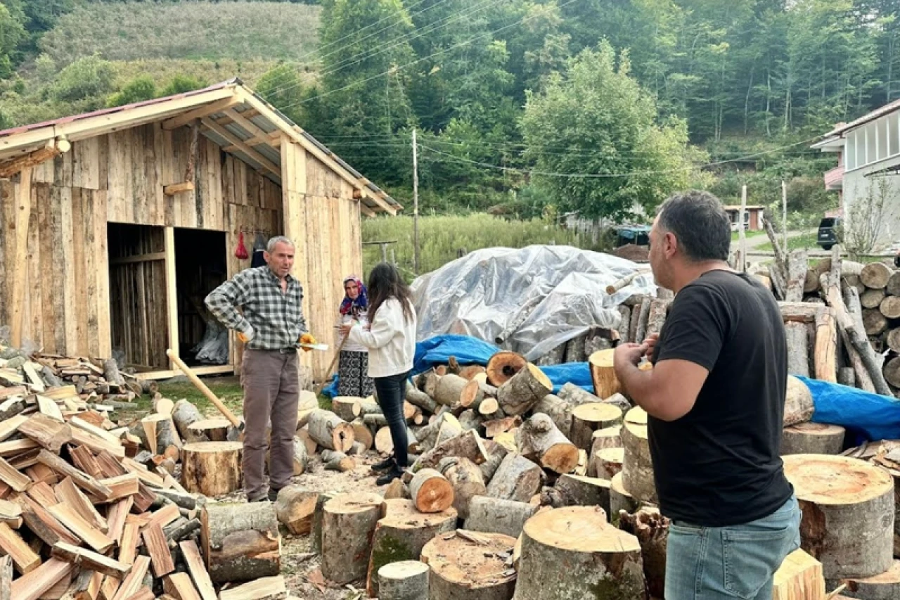 Erdal Avcı: Fındık Biterse Ayvacık Ekonomisi Çöker