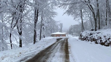 Samsun'da Kar Yağışı İle Kapanan Yollar Tekrar Açılıyor