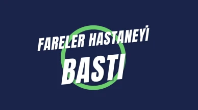 Göğüs Hastalıkları Hastanesi'ni Fareler Bastı