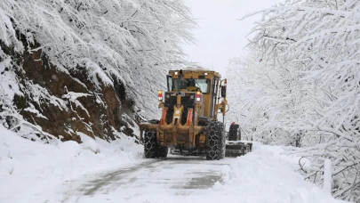 Samsun'da Kar Manzarası Çileye Dönüşmedi