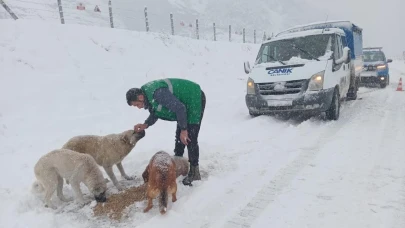 Can Dostların İmdadına Canik Belediyesi Koştu