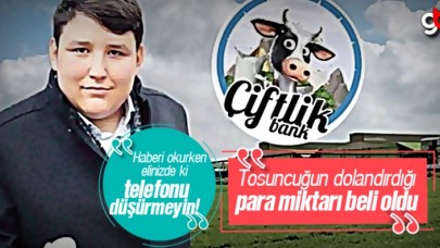 Çiftlik Bank, Piyasayı Ne Kadar Dolandırdı?