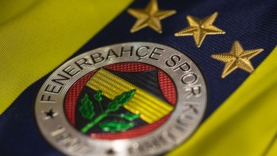 Fenerbahçe Luiz Gustavo'yu transfer etti