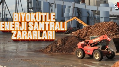 Biyokütle Enerji Santrali Zararları