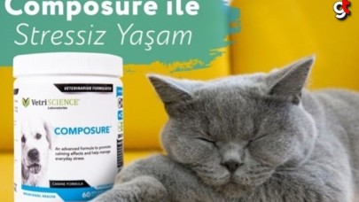 Composure Nedir?