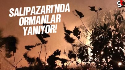 Salıpazarı'nda orman yangını çıktı