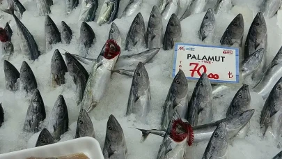 Samsun'da Balık Tezgahları Şenlendi, Samsun Balık Fiyatları