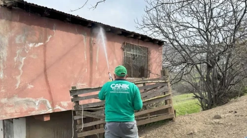 Canik'te Evler Kokarca Böceği İçin İlaçlanıyor