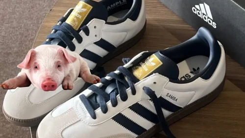 Adidas Domuz Derisi Kullandı, Ceza Yedi