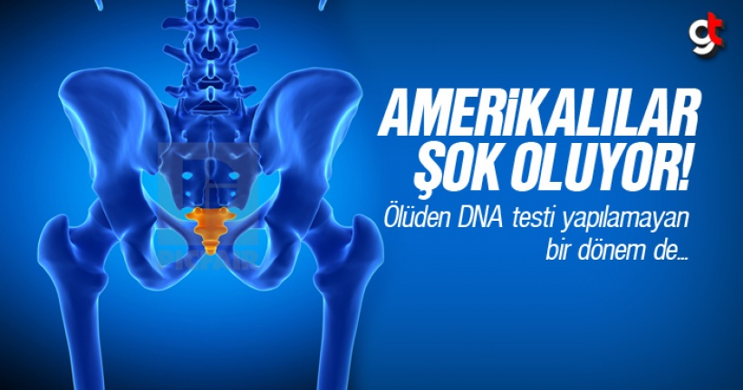 Amerikalıları Şok Eden Ömer Nasuhi Bilmen