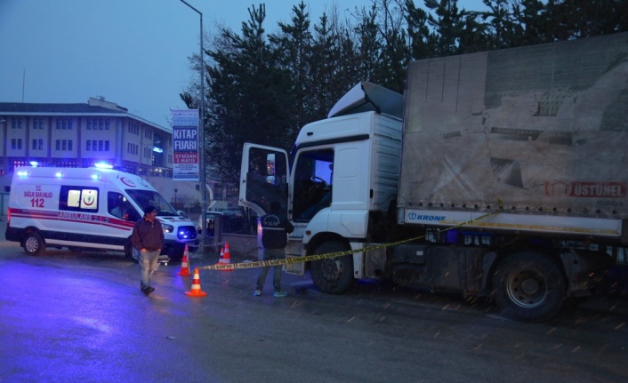 Tır şoförü aracında ölü bulundu