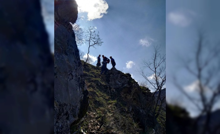 Kayalıklarda mahsur kalan keçileri AFAD kurtardı