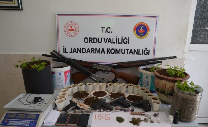 Ordu'da uyuşturucu operasyonu