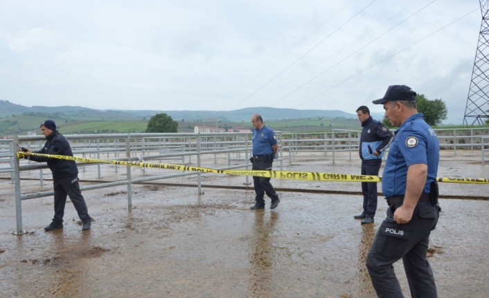 Samsun'da silahlı saldırı: 2 yaralı