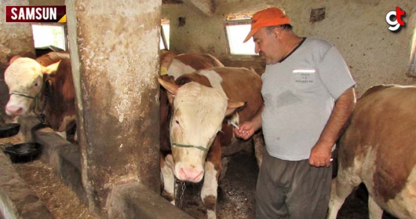 Samsun'da kurban satışları başladı