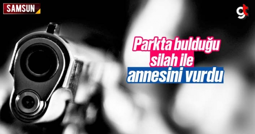 Hastenebaşı'nda parkta bulduğu silah ile annesini vurdu