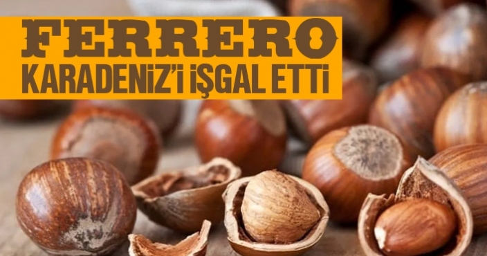 Ferrero Fındık Karadeniz'i işgal etti