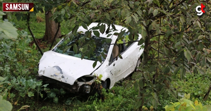 Otomobille bahçeye daldı