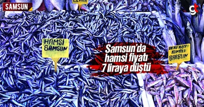 Samsun'da hamsi fiyatı 7 liraya düştü