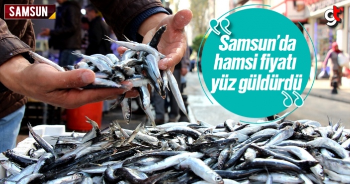 Samsun’da Karadeniz hamsi fiyatı ne kadar?