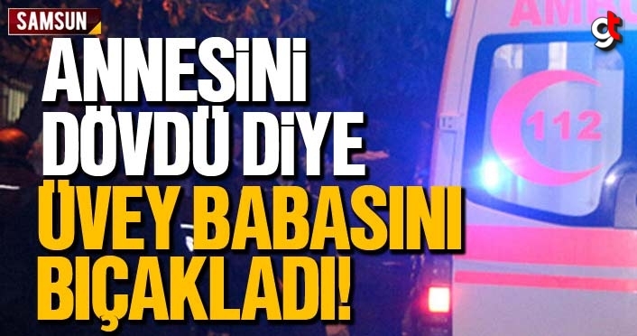 Annesini dövdü diye, üvey babasını bıçakladı