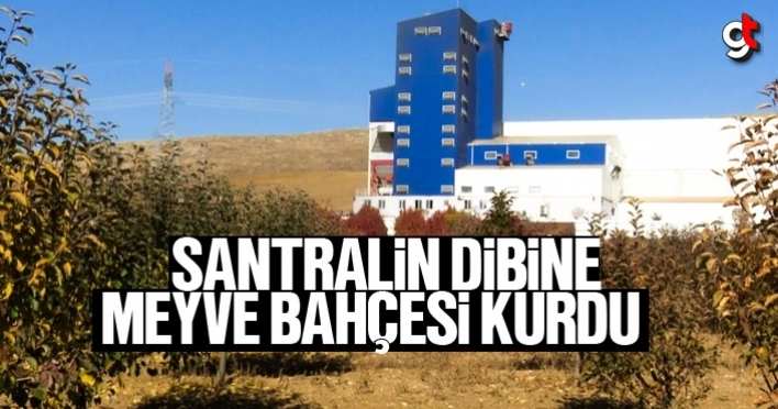 Biyokütle enerji santralinin dibine meyve bahçesi kurdu