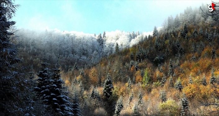 Kastamonu'da sonbaharın renk cümbüşü