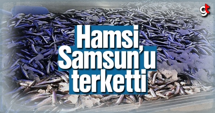 Hamsi Samsun'u terketti