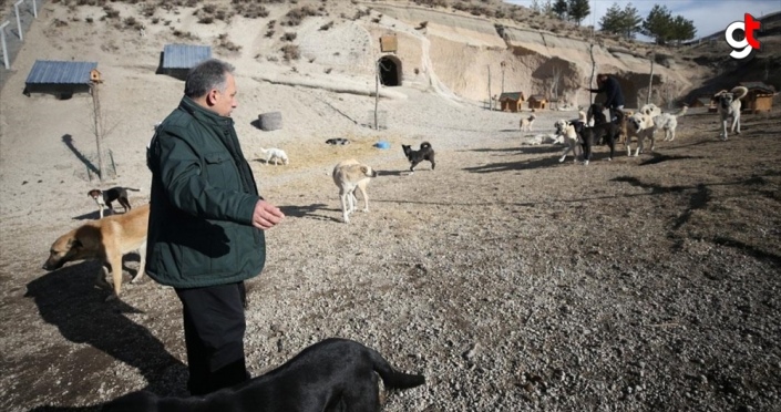 Hasta ve sahipsiz köpeklere kayadan oyma mağarada 'yuva' konforu