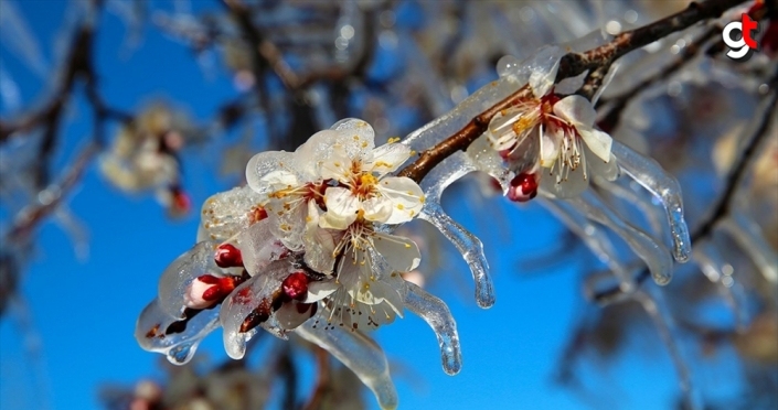 Meteorolojiden kar yağışı ve zirai don uyarısı