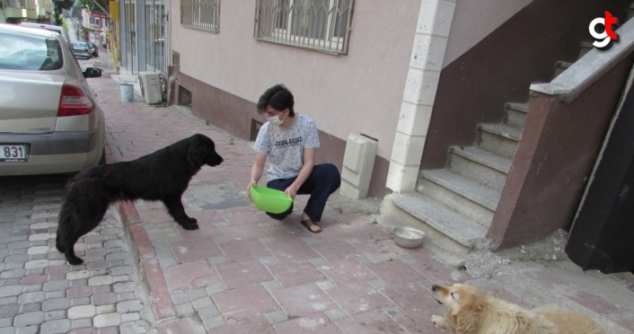 Kavak'ta hayvanseverler sokak hayvanlarını unutmadı