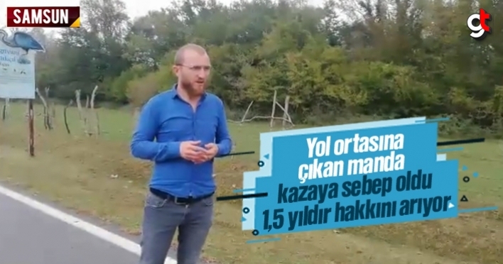 Yol ortasına çıkan manda kazaya sebep oldu