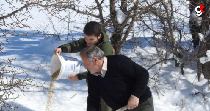 Giresun'da yaban hayvanları için doğaya 3 ton yem bırakıldı