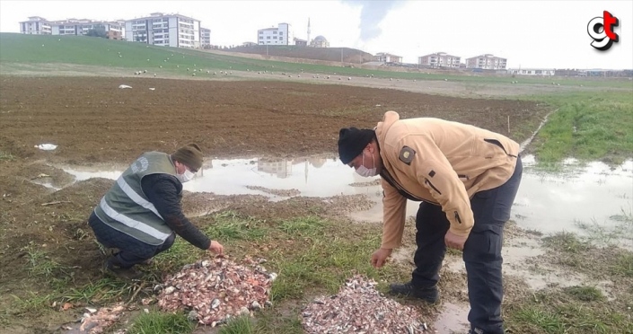 "Baharın müjdecisi" leylekler için Karabük'teki konaklama alanlarına yem bırakıldı