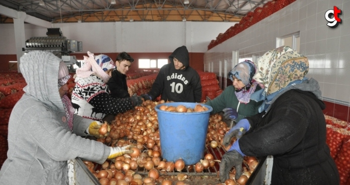 Cumhurbaşkanı Erdoğan'ın müjdesi kuru soğan ve patates üreticilerini sevindirdi