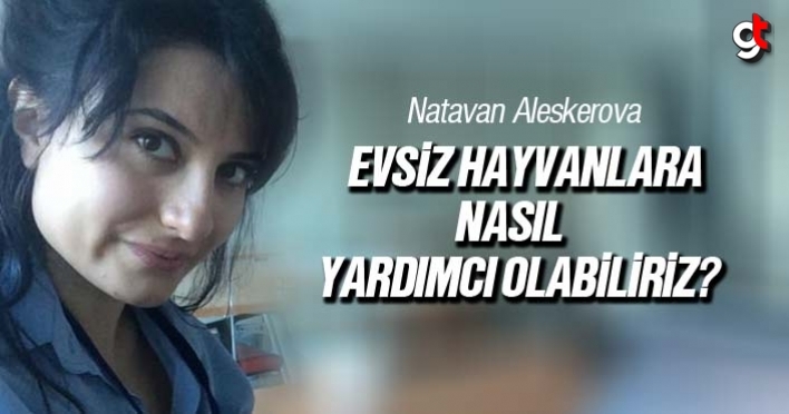 Natavan Aleskerova, Evsiz Hayvanlara Nasıl Yardımcı Olabiliriz?