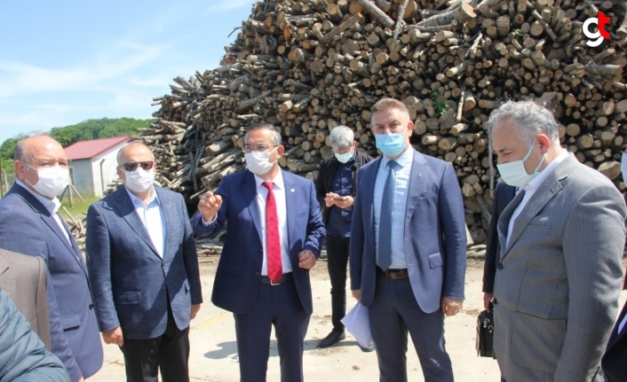 Ordu Üniversitesi Ünye yerleşkesinde çalışmalar yaz mevsiminde başlayacak