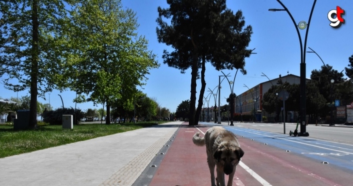 Orta ve Doğu Karadeniz'de "tam kapanma" sessizliği sürüyor