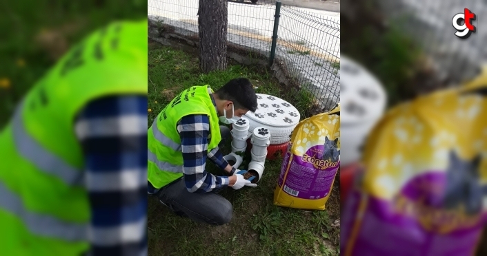 Sokağa çıkma kısıtlamasında Samsun'da sokak hayvanlarını jandarma ekipleri besledi