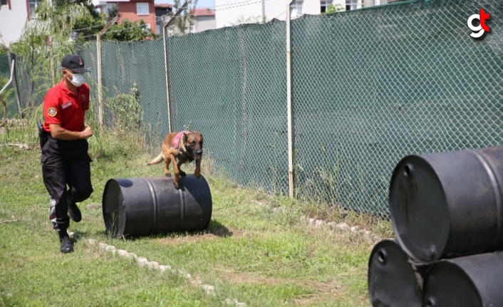 Jandarma köpekleri "Tonya" ve "Barut" suçlulara göz açtırmıyor