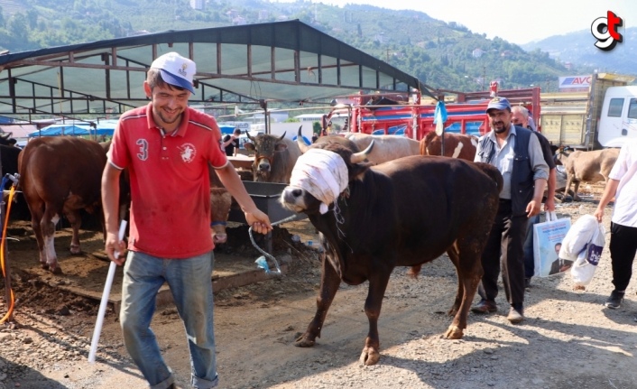 Trabzon'da Kurban Bayramı'nın ilk gününde hayvan pazarında yoğunluk