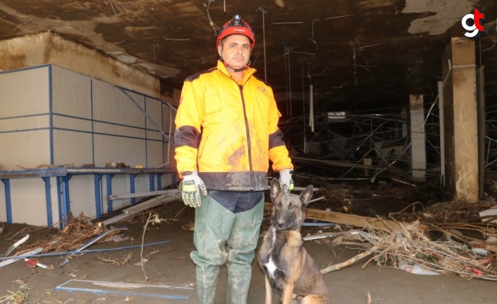 Bozkurt'taki çalışmalara arama kurtarma köpekleri de katılıyor