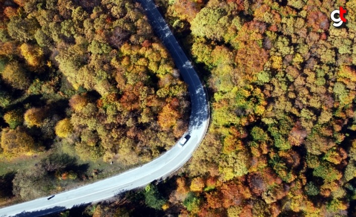 Gölcük Tabiat Parkı'nda sonbahar renkleri hakim